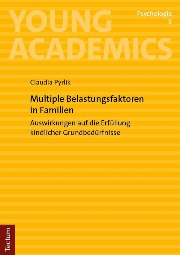 Multiple Belastungsfaktoren in Familien - Claudia Pyrlik (Buch)