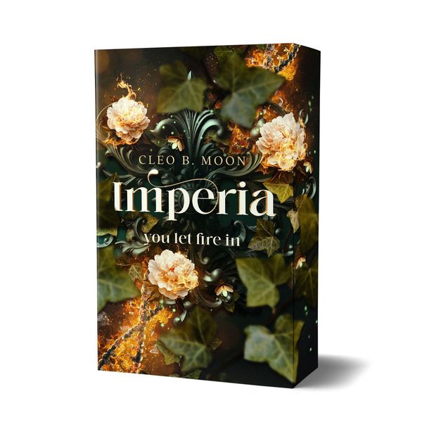 Imperia - you let the fire in - Cleo B. Moon (Buch)