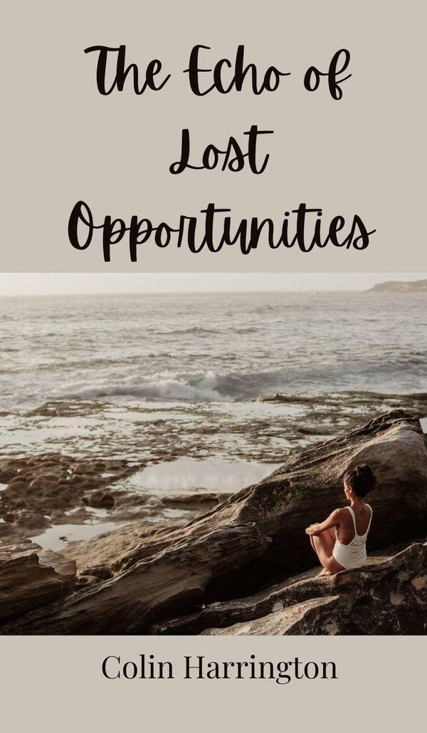 The Echo of Lost Opportunities - Colin Harrington (Buch)