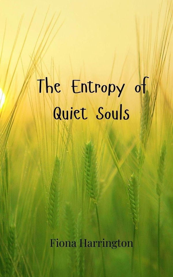 The Entropy of Quiet Souls - Fiona Harrington (Buch)