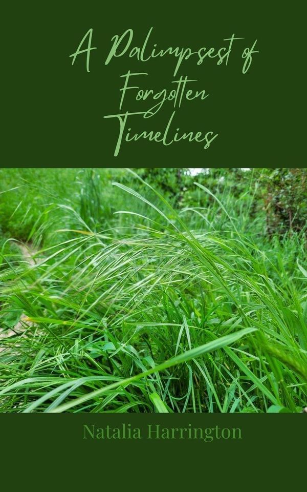 A Palimpsest of Forgotten Timelines - Natalia Harrington (Buch)