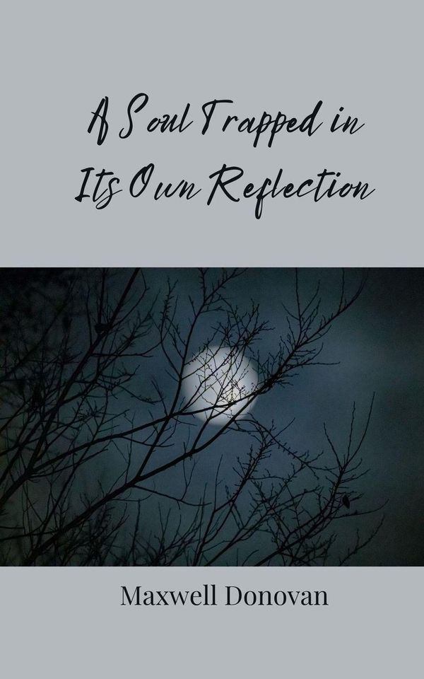 A Soul Trapped in Its Own Reflection - Maxwell Donovan (Buch)