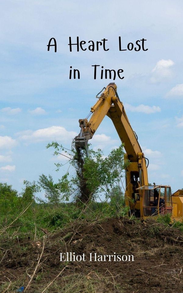 A Heart Lost in Time - Elliot Harrison (Buch)