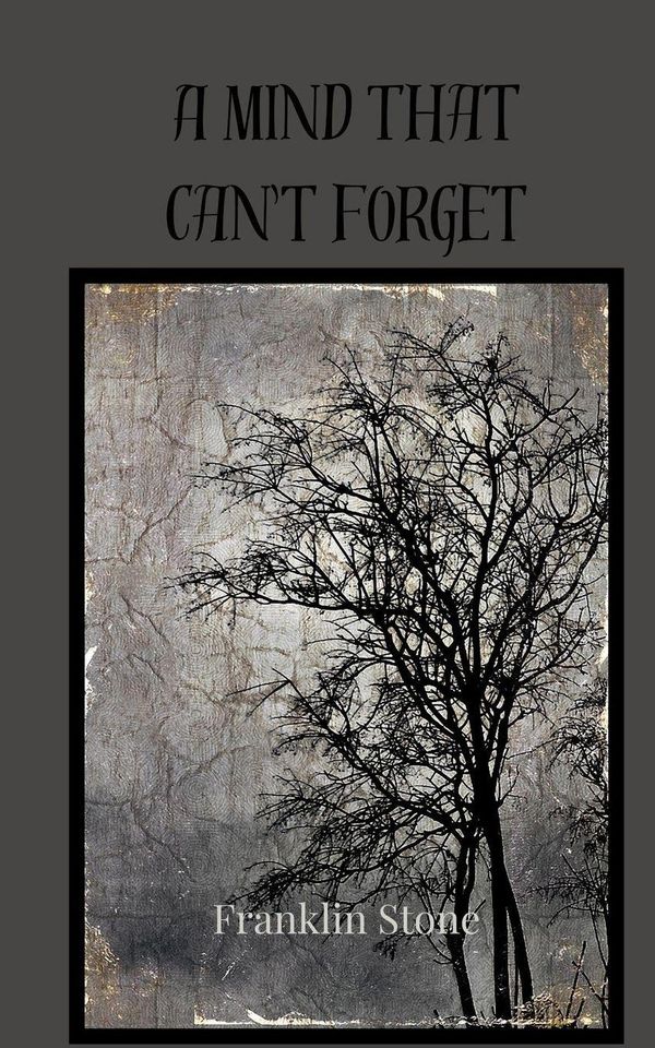 A Mind That Cant Forget - Julian Montgomery (Buch)