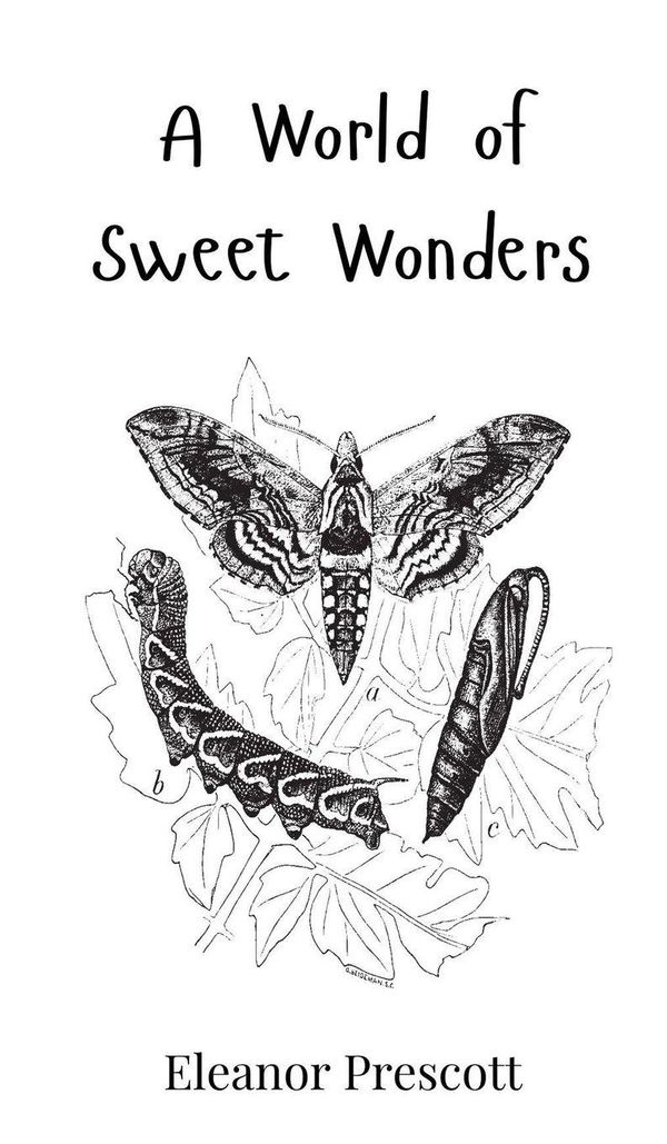A World of Sweet Wonders - Eleanor Prescott (Buch)