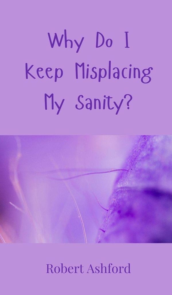 Why Do I Keep Misplacing My Sanity? - Robert Ashford (Buch)