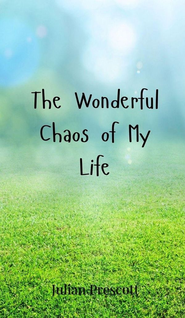 The Wonderful Chaos of My Life - Julian Prescott (Buch)