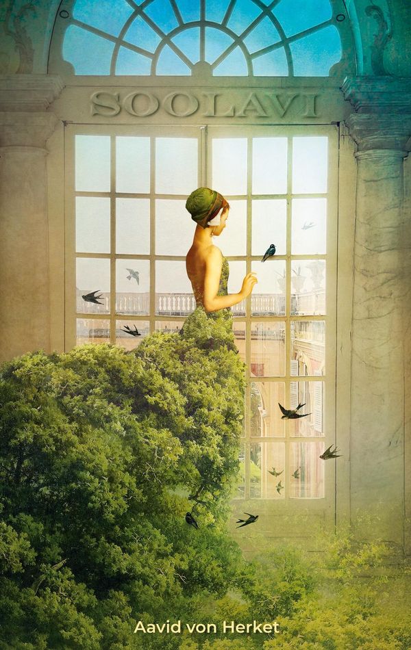Soolavi - Aavid von Herket (Buch)