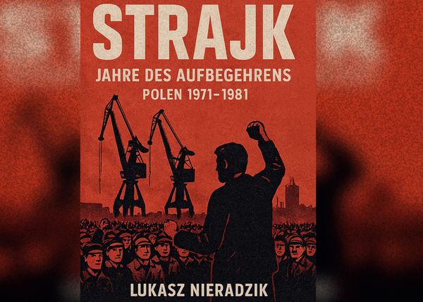 Strajk - Lukasz Nieradzik (Buch)