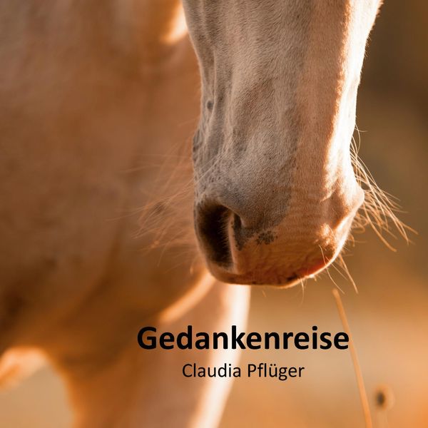Gedankenreise - Claudia Pflüger (Buch)