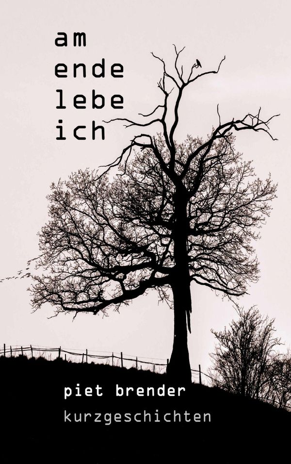 Am Ende lebe ich - Piet Brender (Buch)