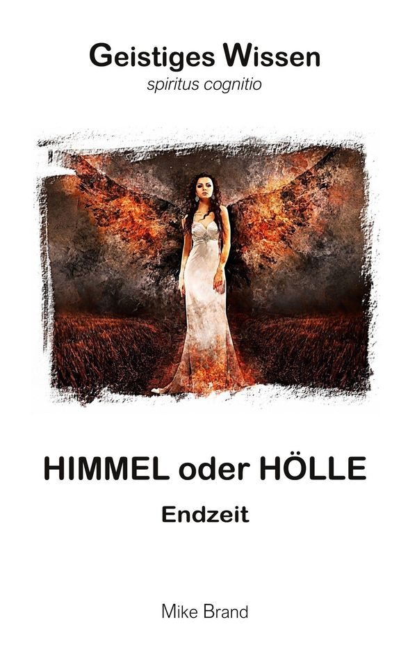 Himmel oder Hölle - Mike Brand (Buch)