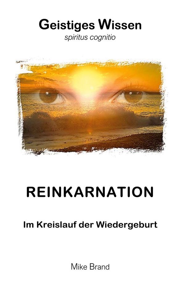 Reinkarnation - Mike Brand (Buch)