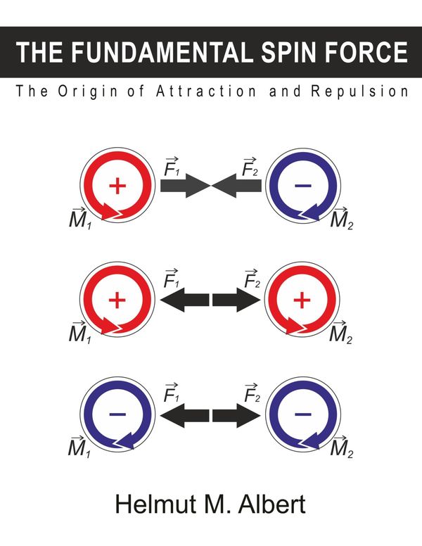 The Fundamental Spin Force - Helmut M. Albert (Buch)