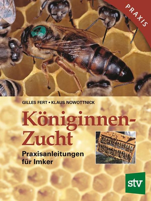 Königinnenzucht - Gilles Fert (Buch)