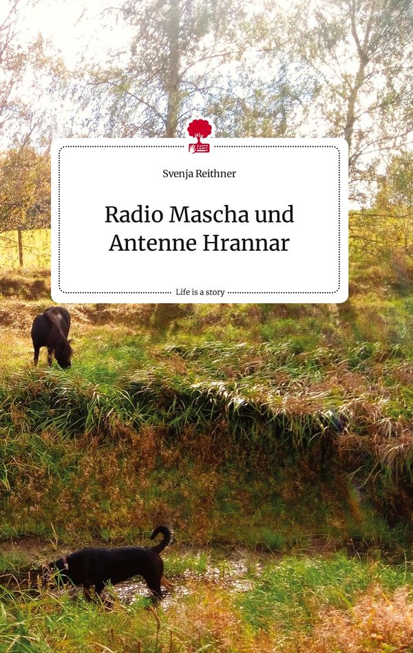Radio Mascha und Antenne Hrannar. Life is a Story - story.one (Buch)