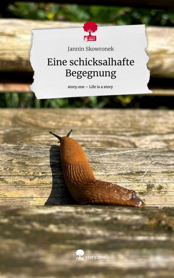 Eine schicksalhafte Begegnung. Life is a Story - story.one (Buch)