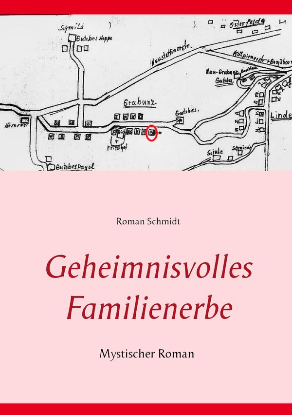 Geheimnisvolles Familienerbe - Roman Schmidt (Buch)