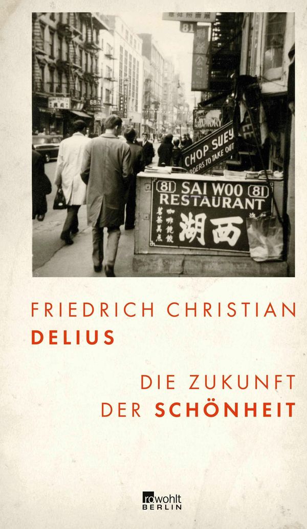 Die Zukunft der Schönheit - Friedrich Christian Delius (Buch)