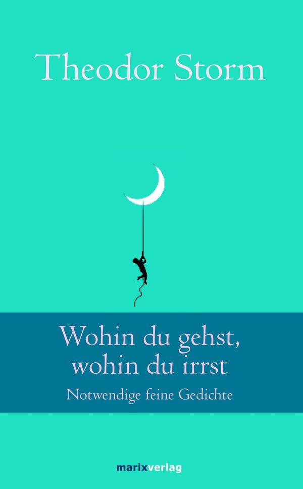 Wohin du gehst, wohin du irrst - Theodor Storm (Buch)
