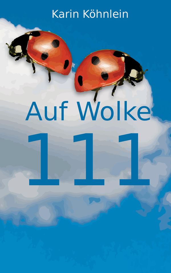 Auf Wolke 111 - Karin Köhnlein (Buch)