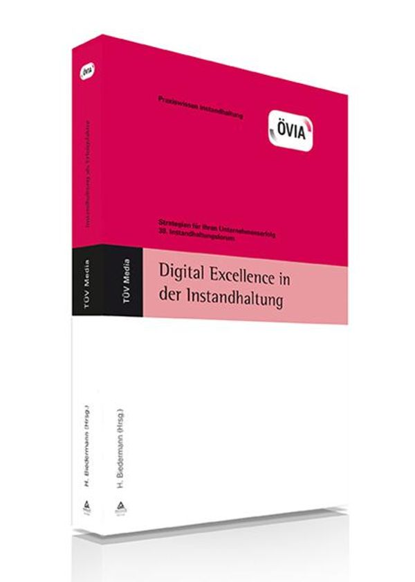 Digital Excellence in der Instandhaltung - Hubert Biedermann (Buch)
