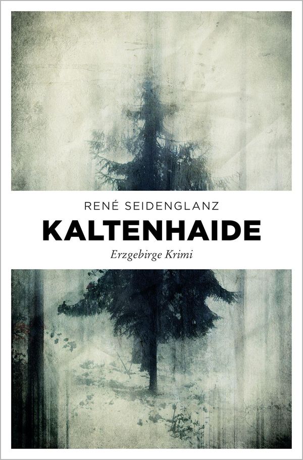Kaltenhaide - René Seidenglanz (Buch)