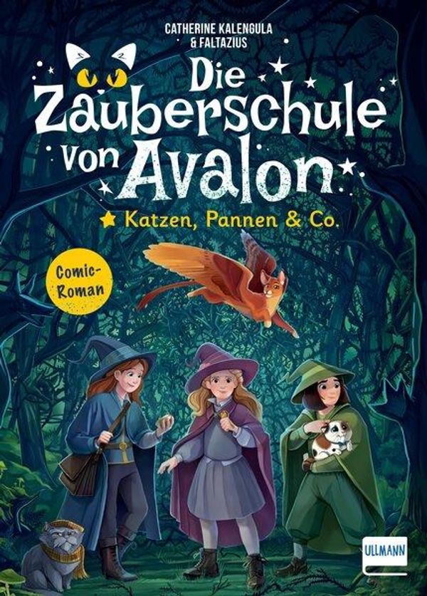 Die Zauberschule von Avalon - Katzen, Pannen & Co. (Buch)
