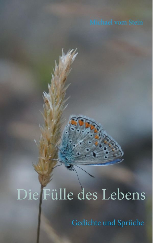 Die Fülle des Lebens - Michael Vom Stein (Buch)