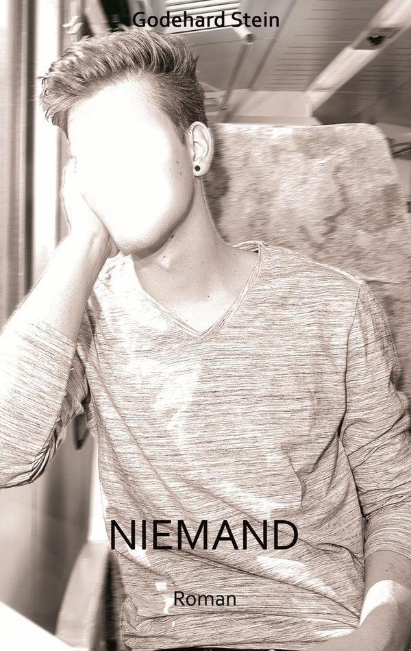 Niemand - Godehard Stein (Buch)