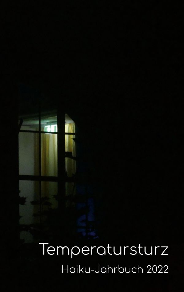 Temperatursturz - Volker Friebel (Buch)