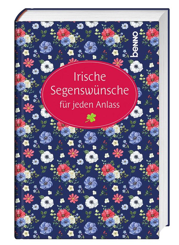 Irische Segenswünsche für jeden Anlass - Jochen Klepper (Buch)