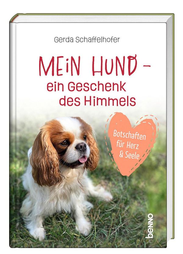 Mein Hund - ein Geschenk des Himmels - Gerda Schaffelhofer (Buch)