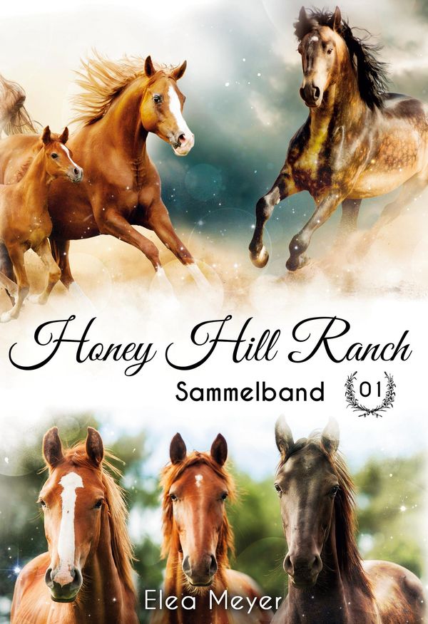 Honey Hill Ranch - Elea Meyer (Buch)