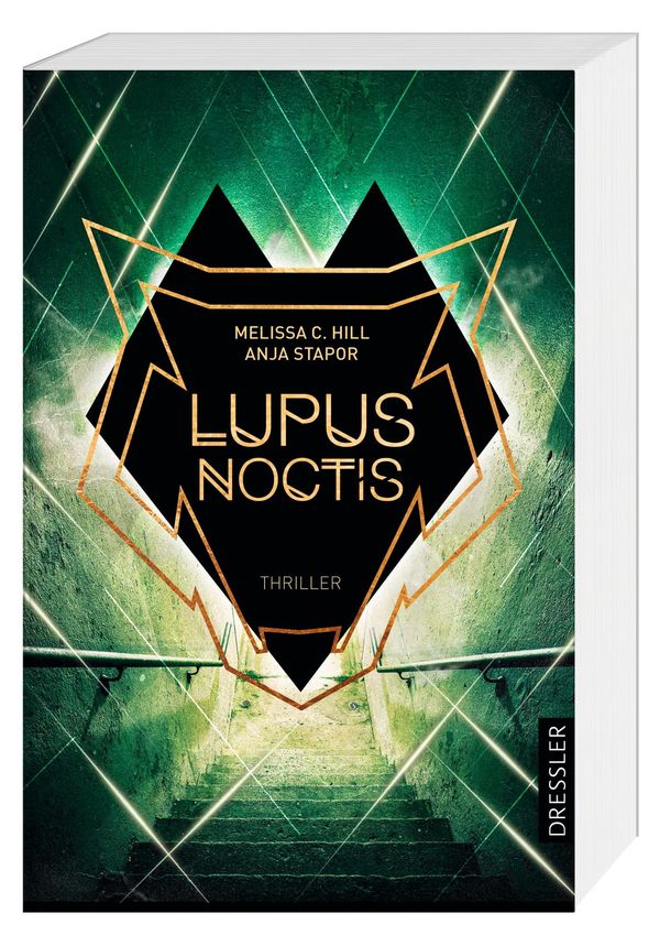 Lupus Noctis - Melissa C. Hill (Buch)