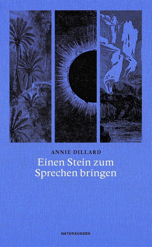 Einen Stein zum Sprechen bringen - Annie Dillard (Buch)