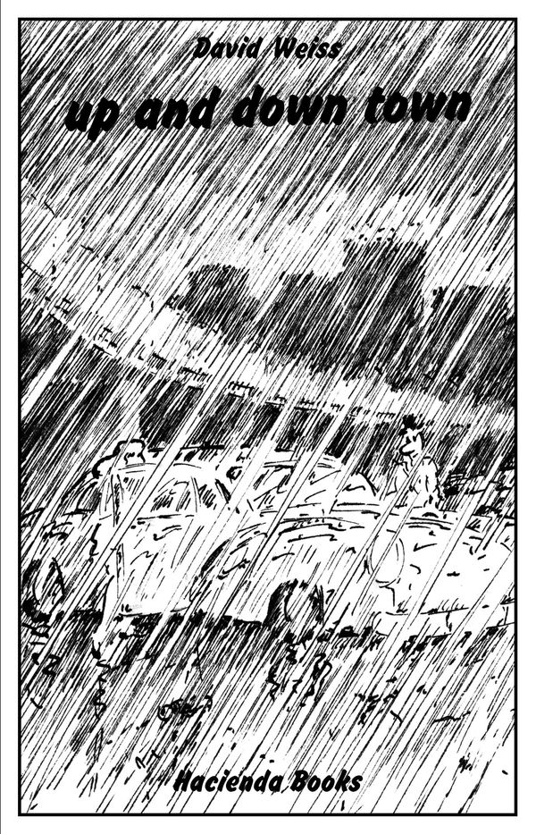 David Weiss - up and down town / Regenbüchlein (Buch)