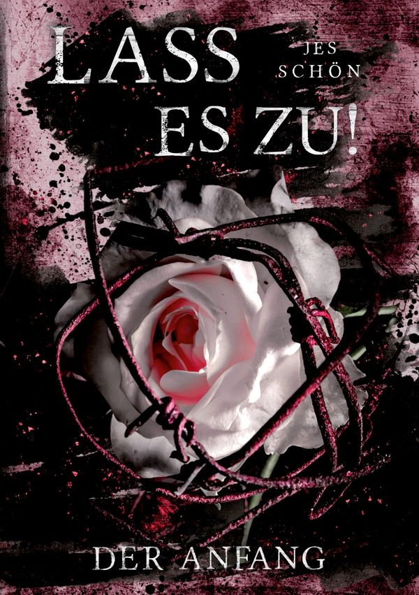 Lass es zu!: Der Anfang - Jes Schön (Buch)