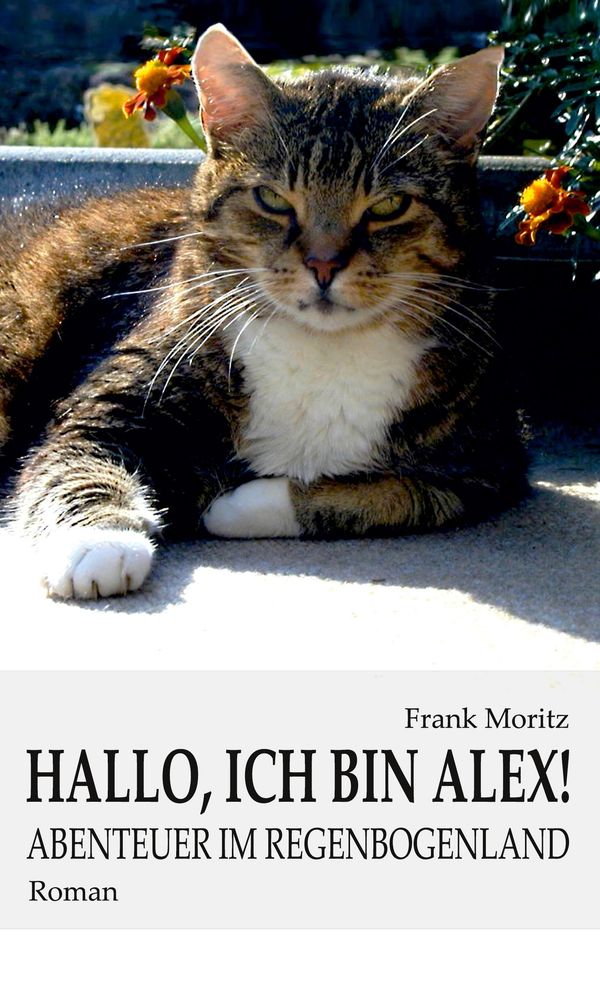 Hallo, ich bin Alex! - Frank Moritz (Buch)