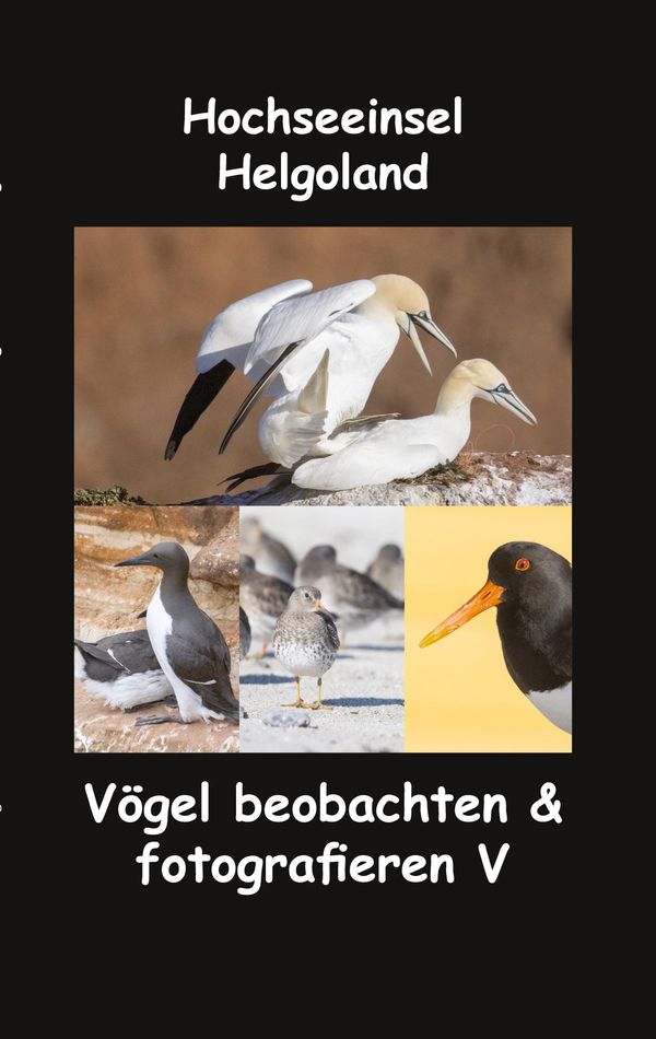 Hochseeinsel Helgoland - Sr. Fotolulu (Buch)