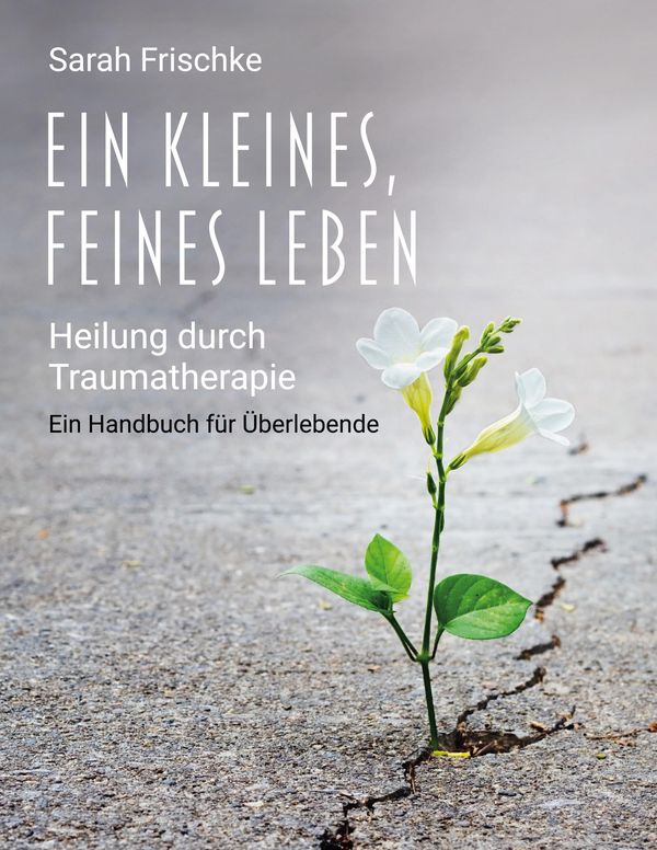 Ein kleines, feines Leben - Sarah Frischke (Buch)
