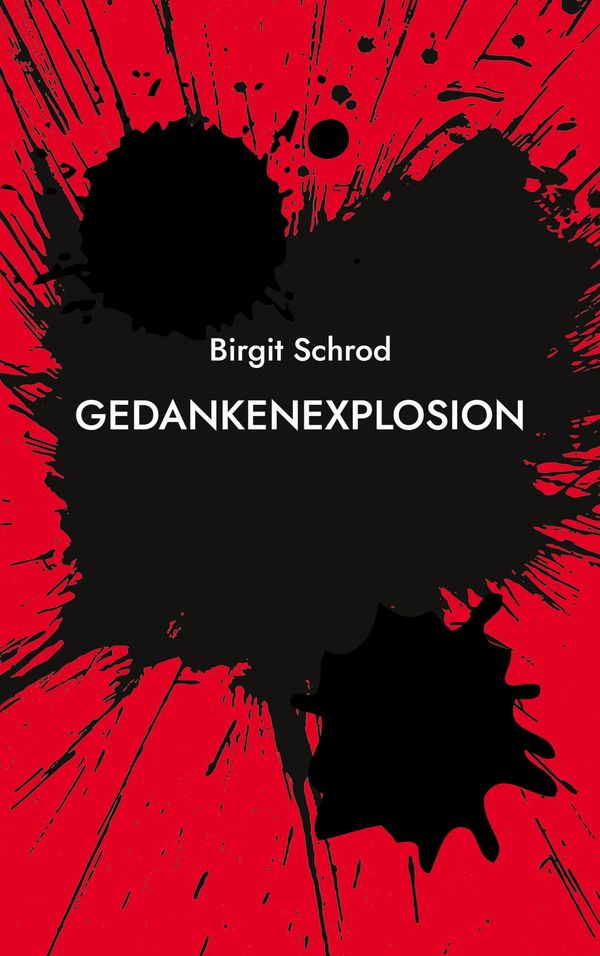 Gedankenexplosion - Birgit Schrod (Buch)