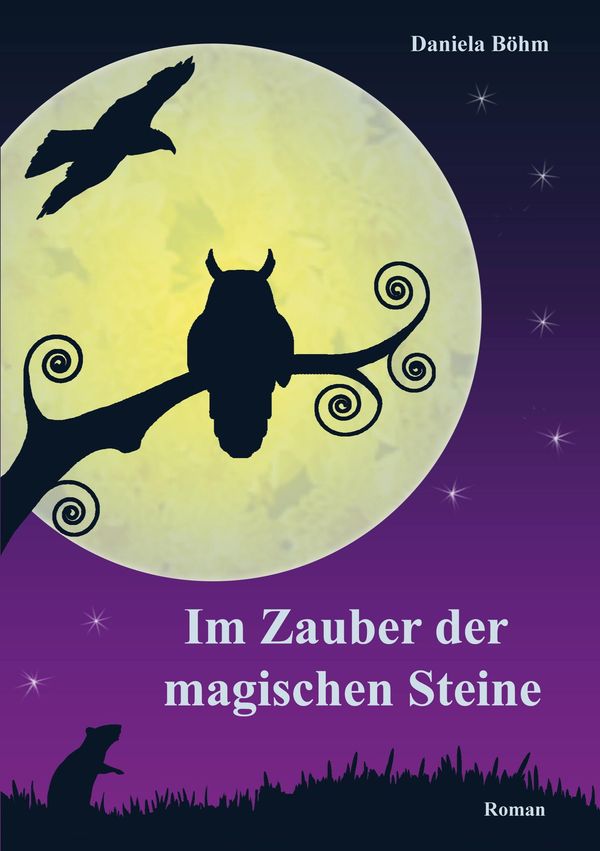 Im Zauber der magischen Steine - Daniela Böhm (Buch)