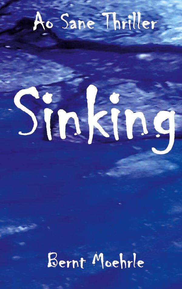 Sinking - Bernt Moehrle (Buch)