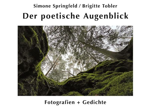 Der poetische Augenblick - Simone Springfeld (Buch)