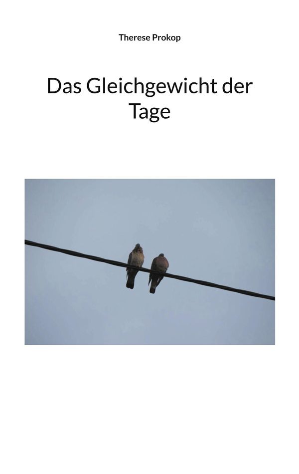 Das Gleichgewicht der Tage - Therese Prokop (Buch)