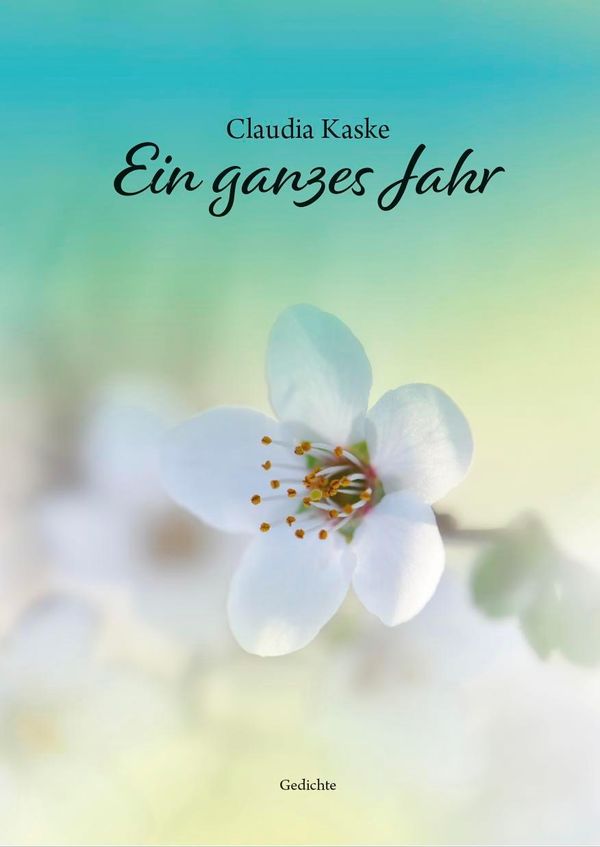 Ein ganzes Jahr - Claudia Kaske (Buch)