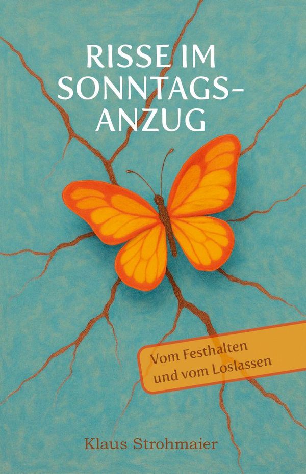 Risse im Sonntagsanzug - Klaus Strohmaier (Buch)