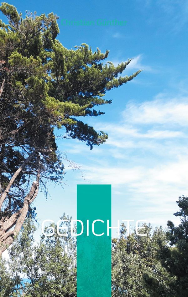 Gedichte - Christian Günther (Buch)