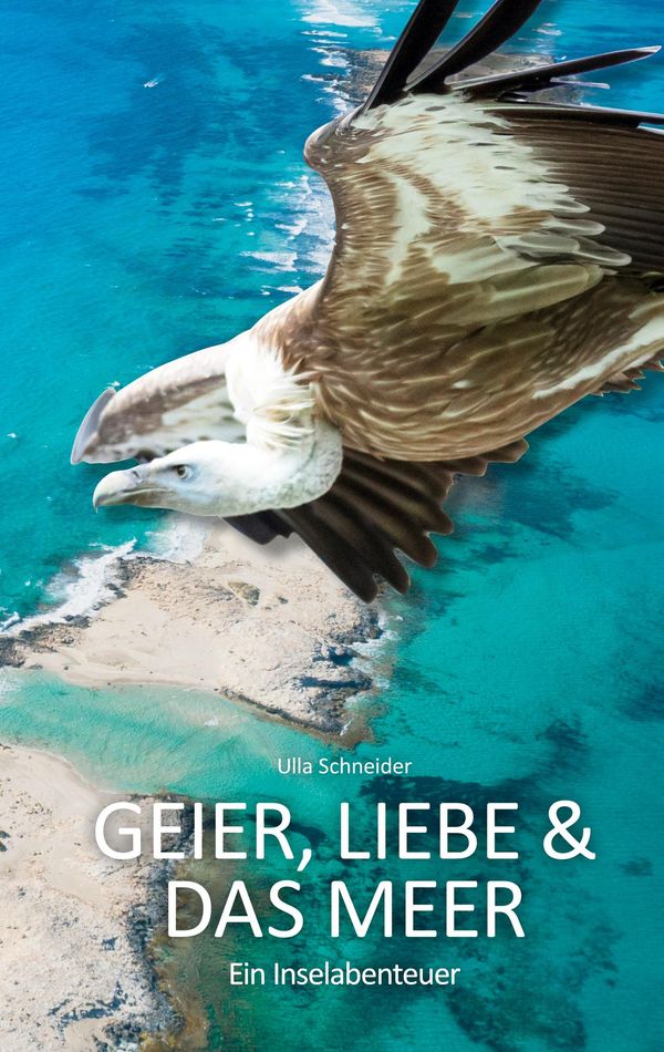 Geier, Liebe und das Meer - Ulla Schneider (Buch)